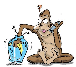 Monkey